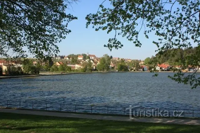 Rybník Olšovec